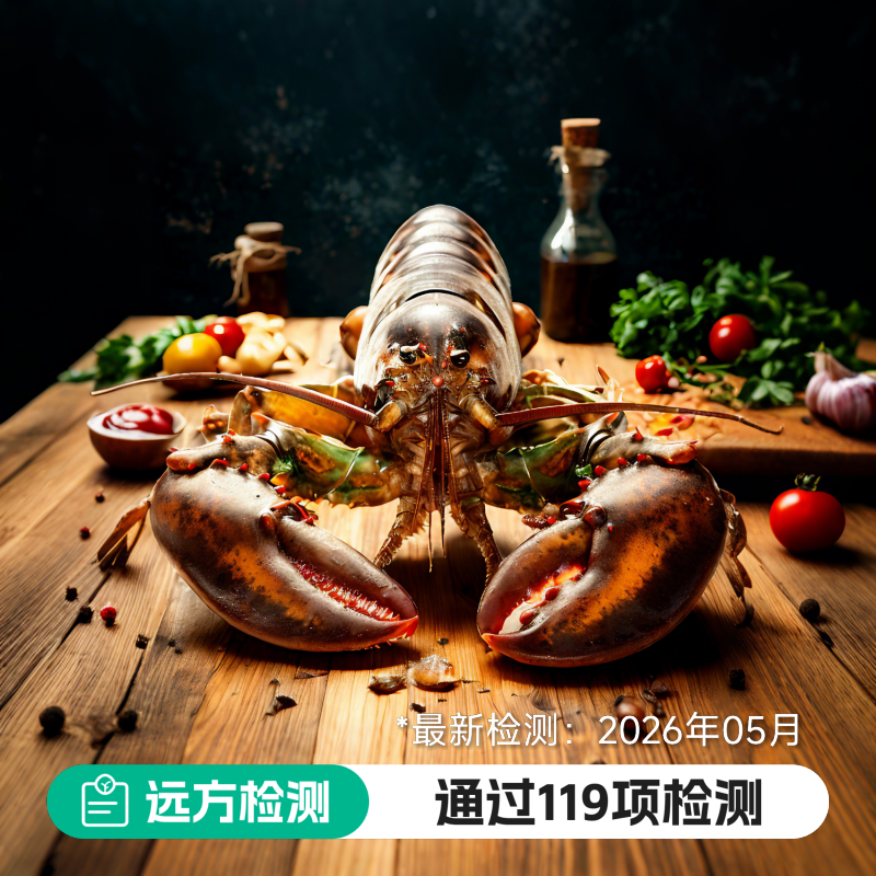 加拿大龙虾