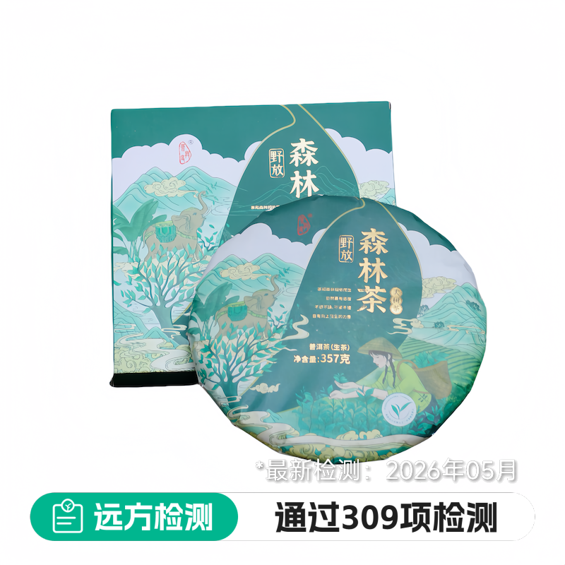 野放森林大树茶